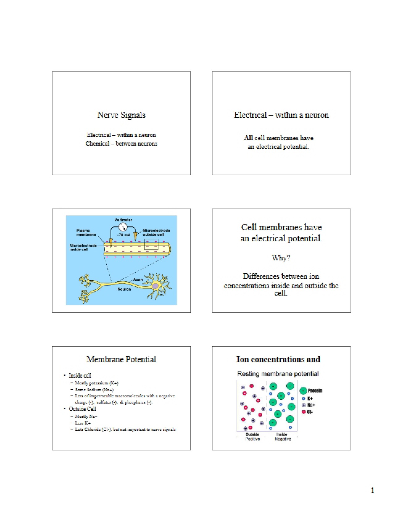 Signals of Neurons