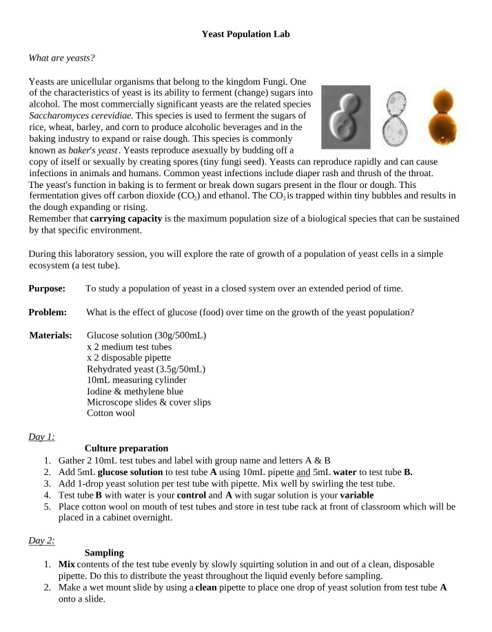 Yeast Population Lab - Glucose Effects on Growth