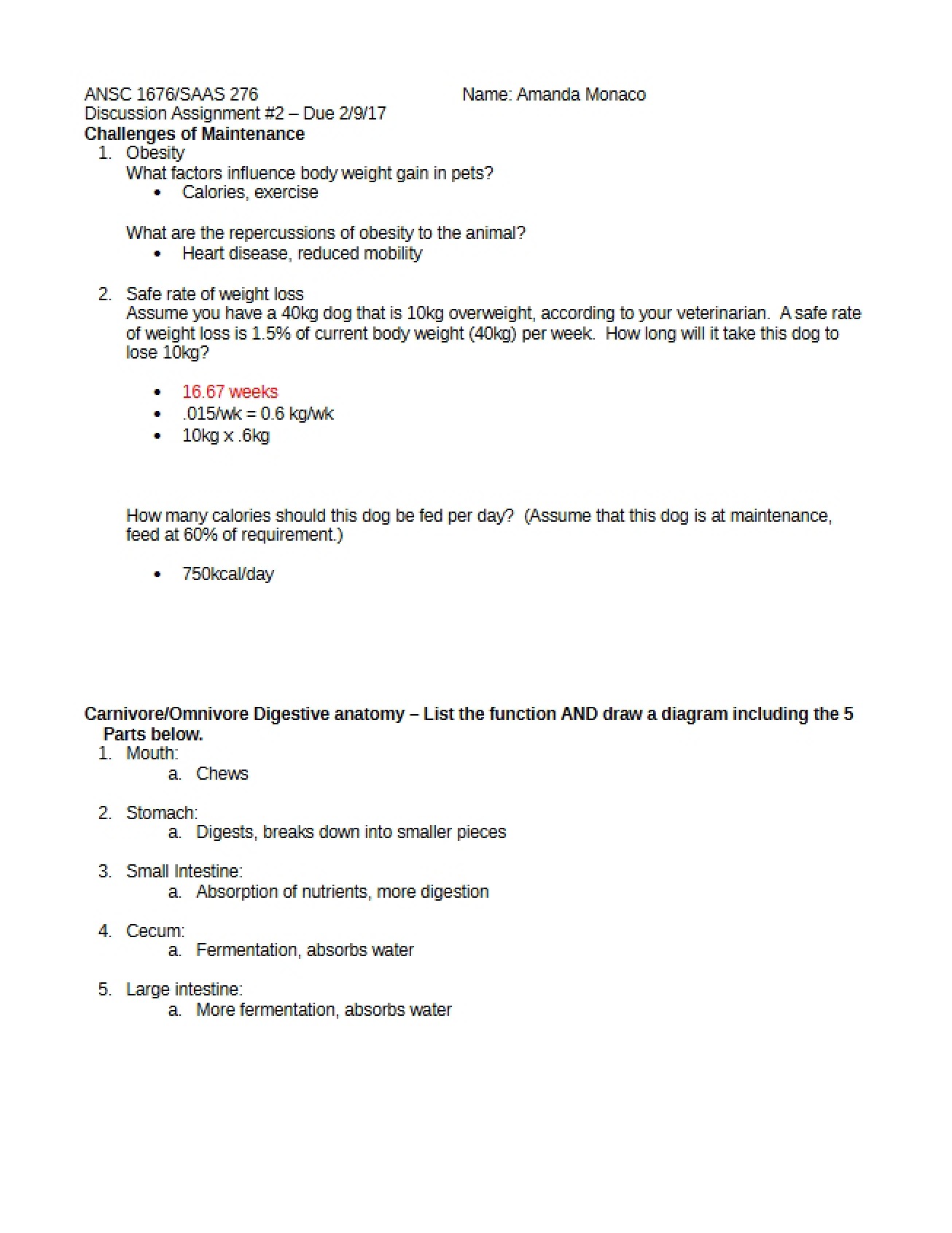 Second Assignment