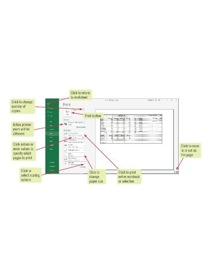 Page Setup and Print Options