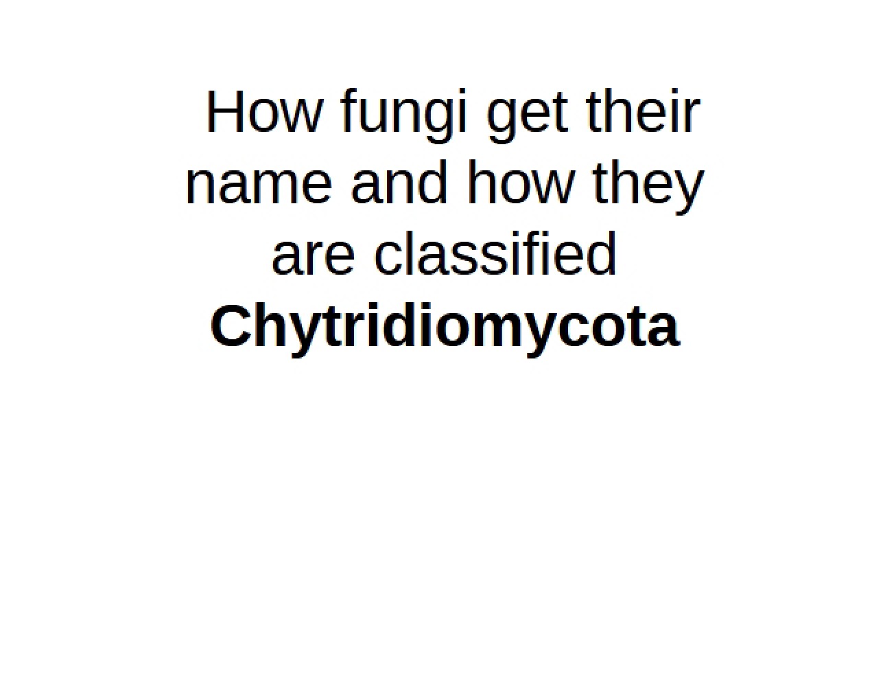 Introduction to the Chytridiomycota