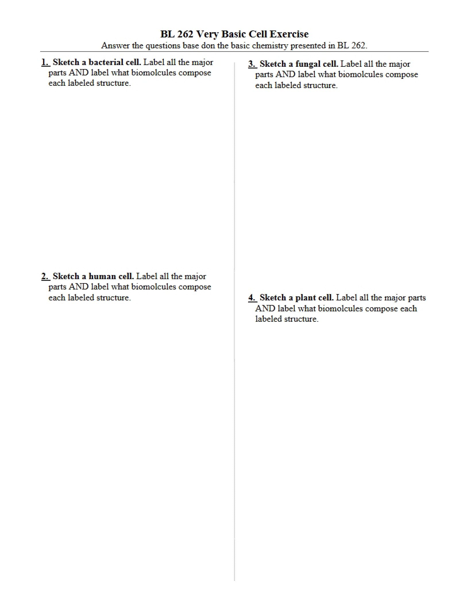 Exercise on Basic Cells