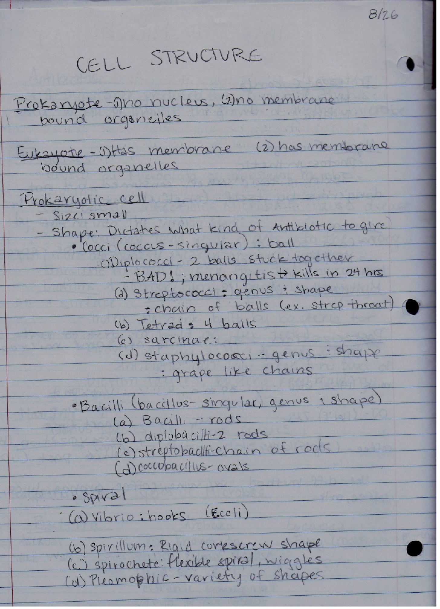 Lecture Notes