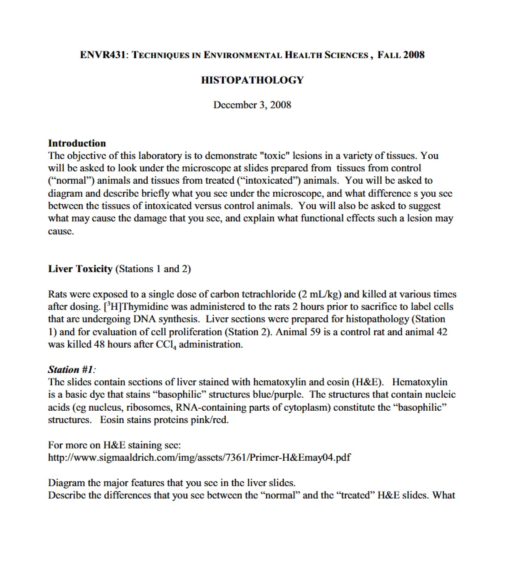 Histopathological Analysis