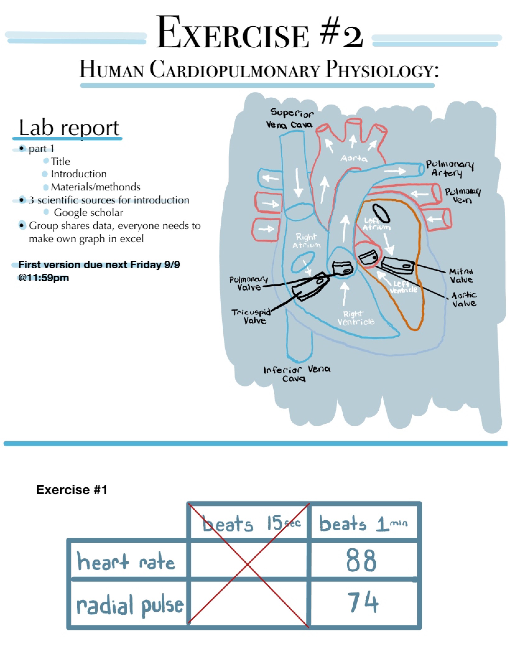 Second Laboratory Exercise