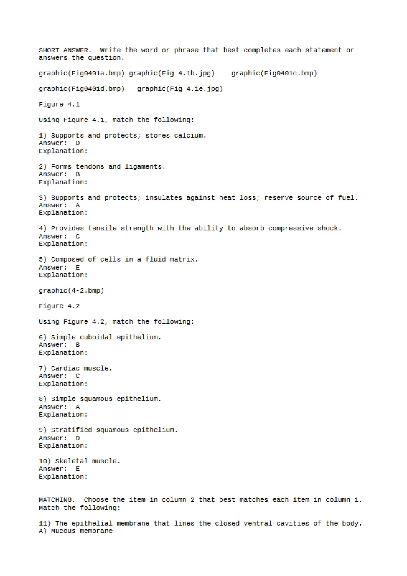 Anatomy and Physiology II Chapter Four