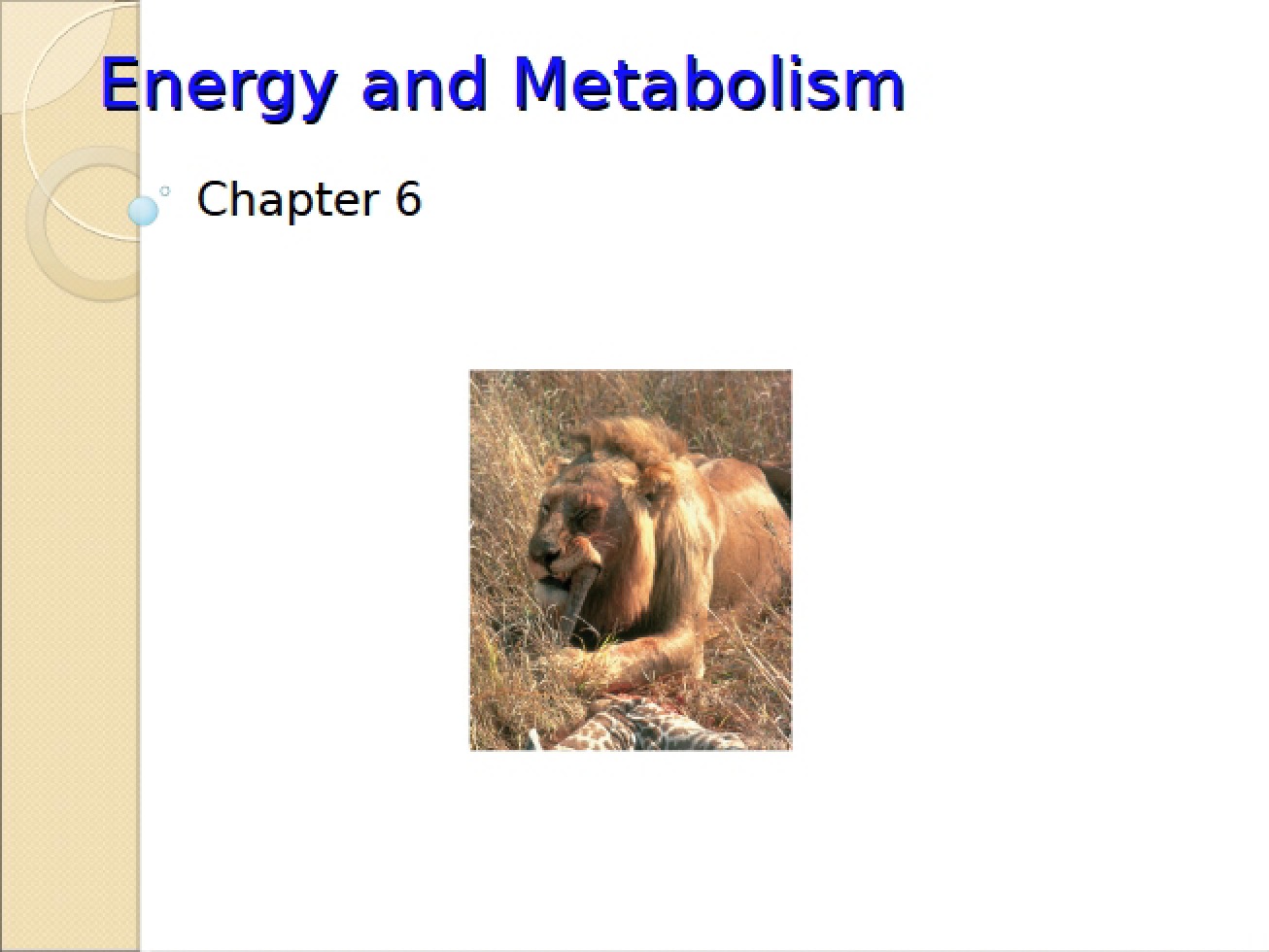 In-depth Look at Energy and Metabolism