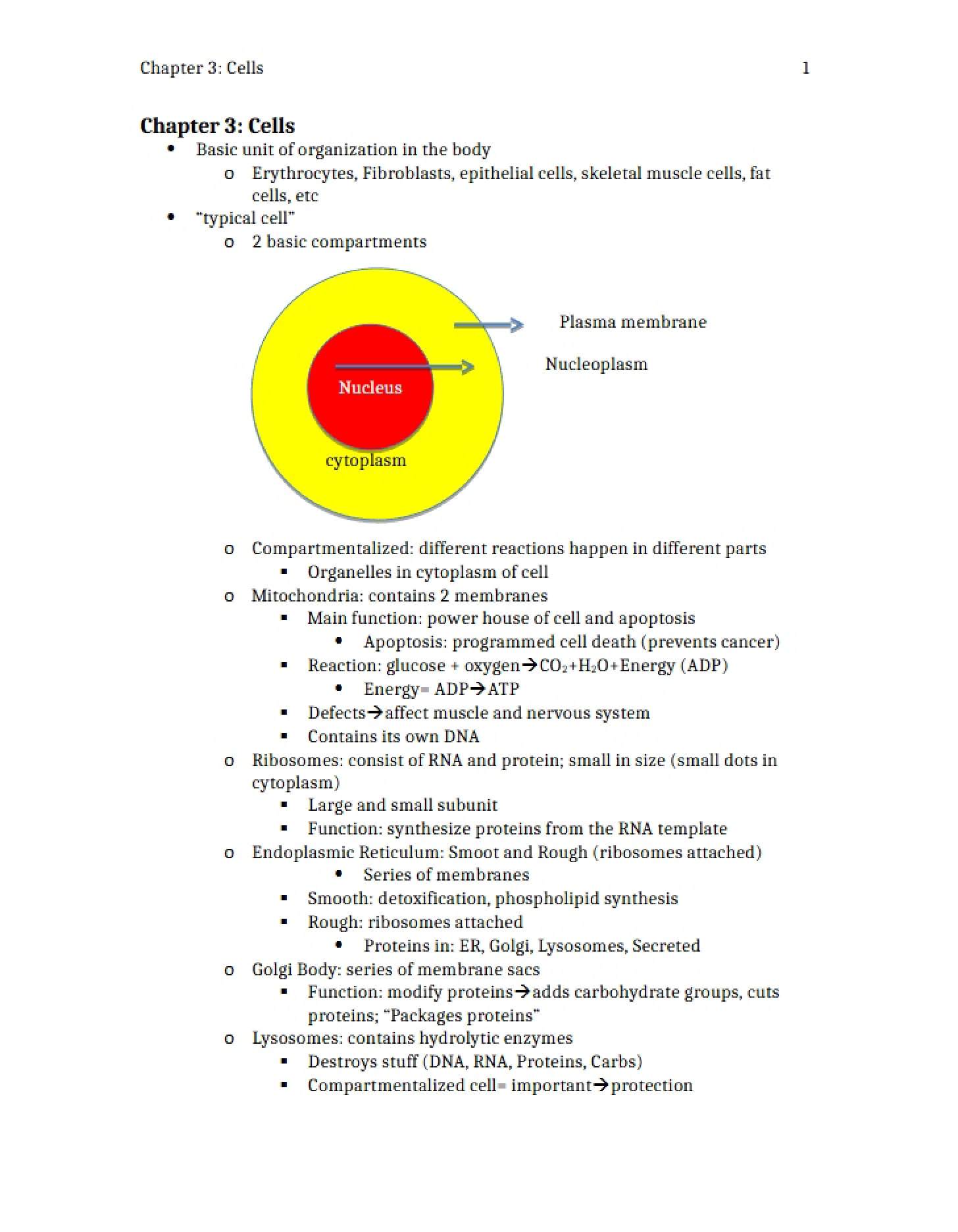 Chapter Three Notes