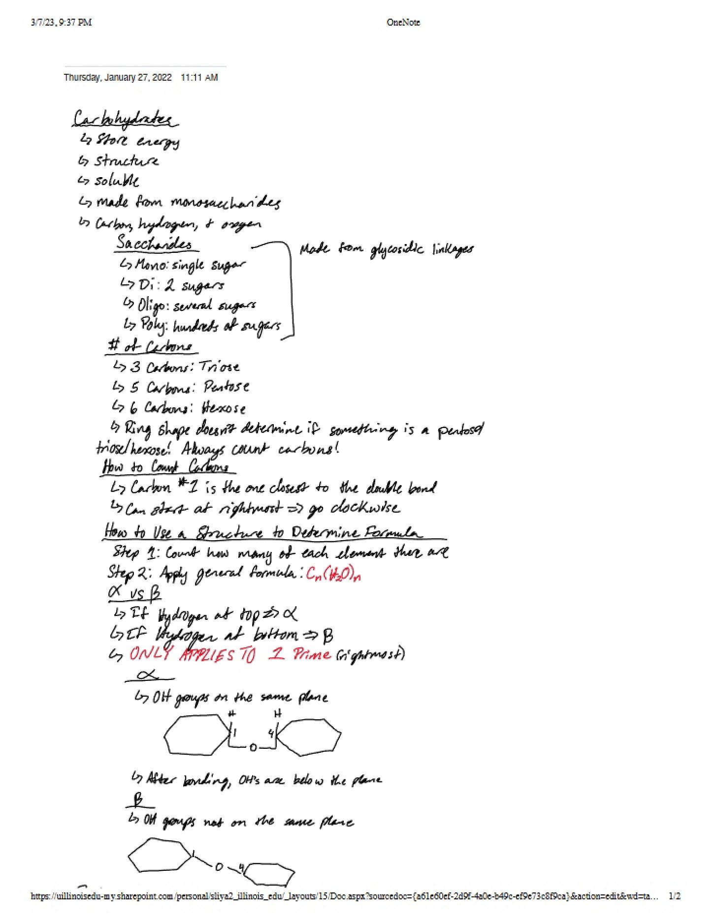 Carbohydrates Notes