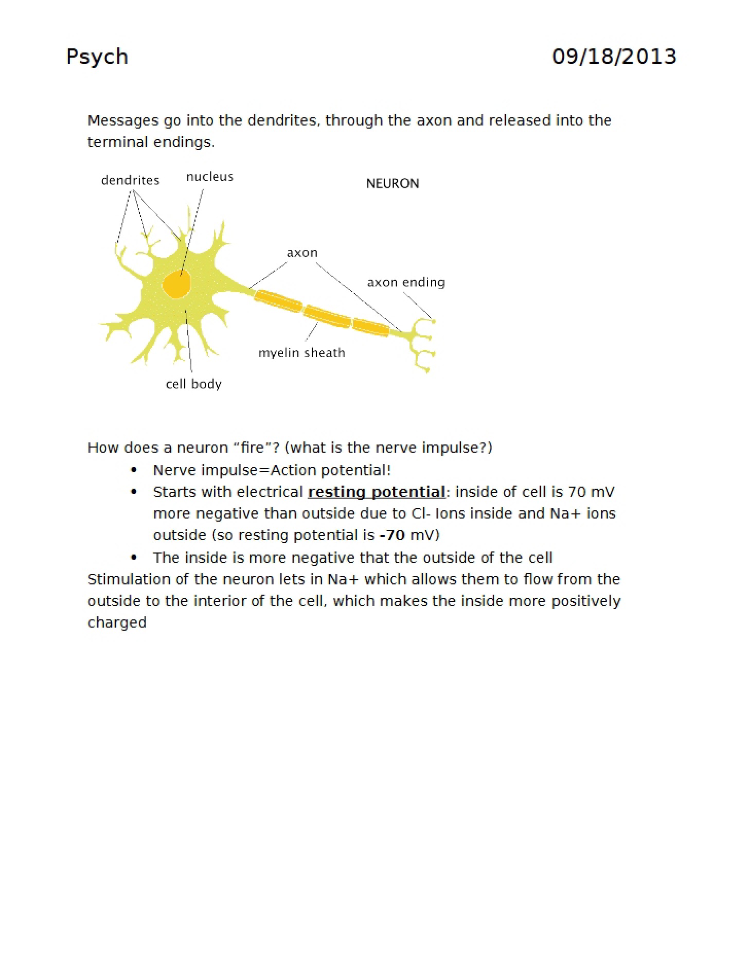 Class Notes