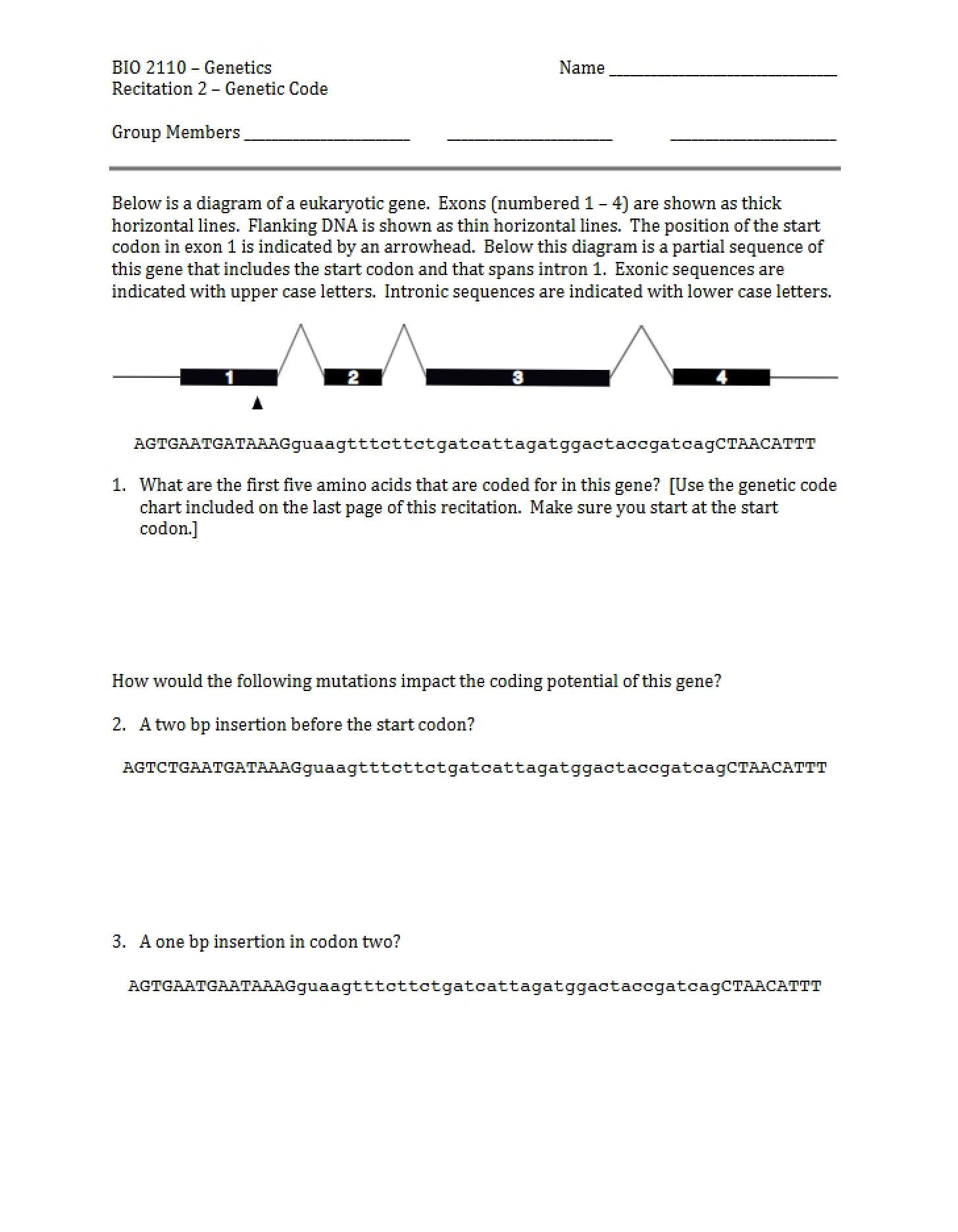 Genetic Code (Recitation 2)