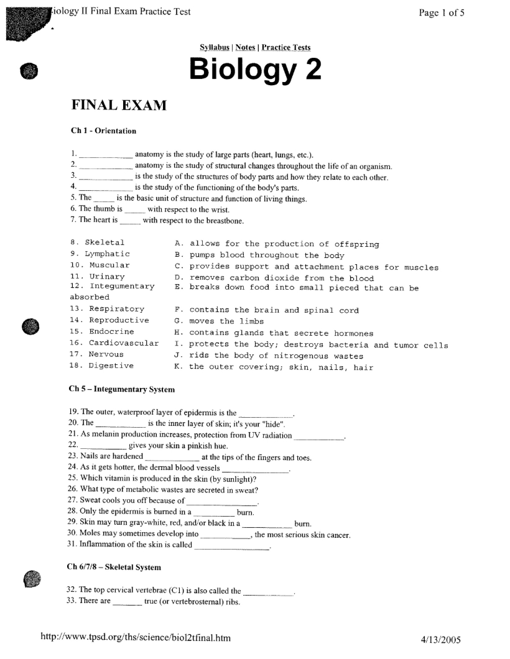 Final Assessment