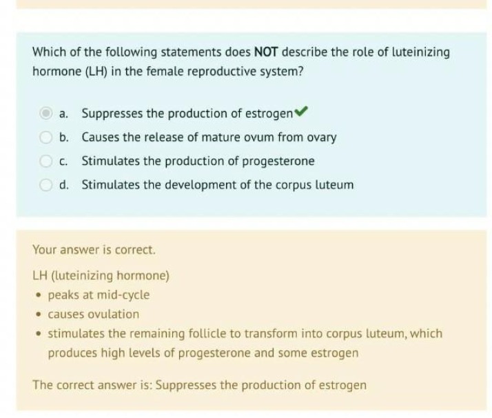 Female Reproductive System - The Role of Luteinizing Hormone (LH)