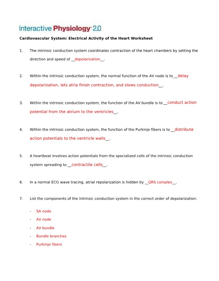Cardiovascular Worksheet - Electrical Activity of the Heart