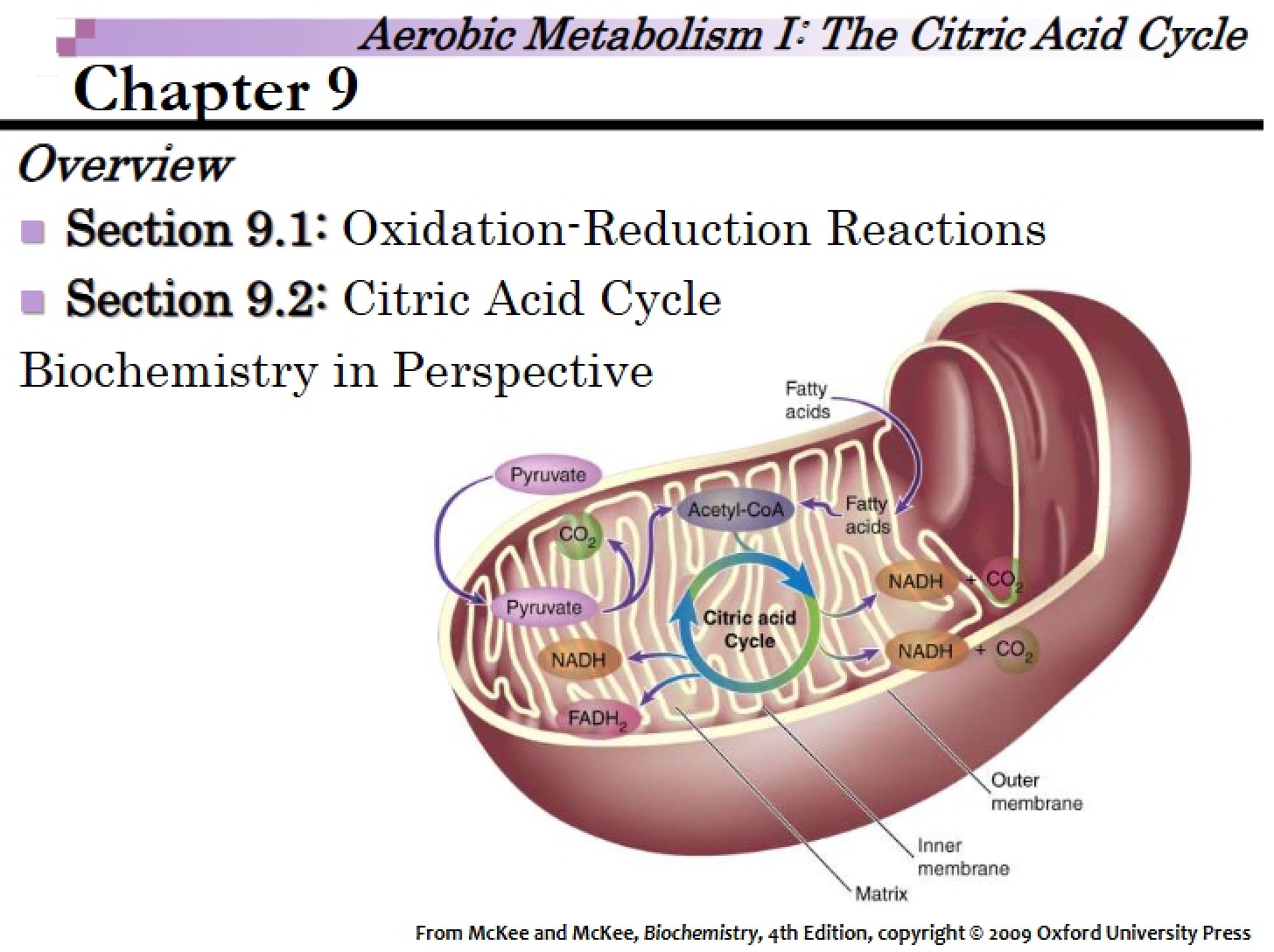 Template McKee Chapter 9 (Annotated)