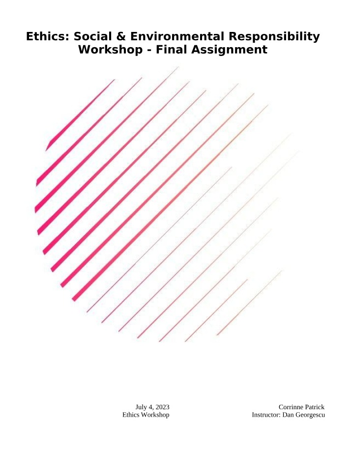 Social & Environmental Responsibility - Final Workshop Assignment