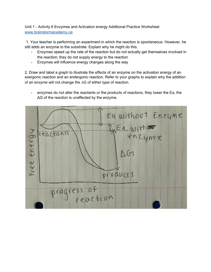Additional Practice Worksheet - Enzymes and Activation Energy
