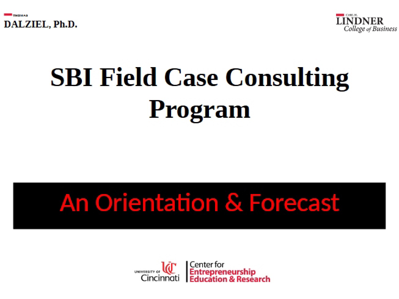 Short Introduction to the SBI Program
