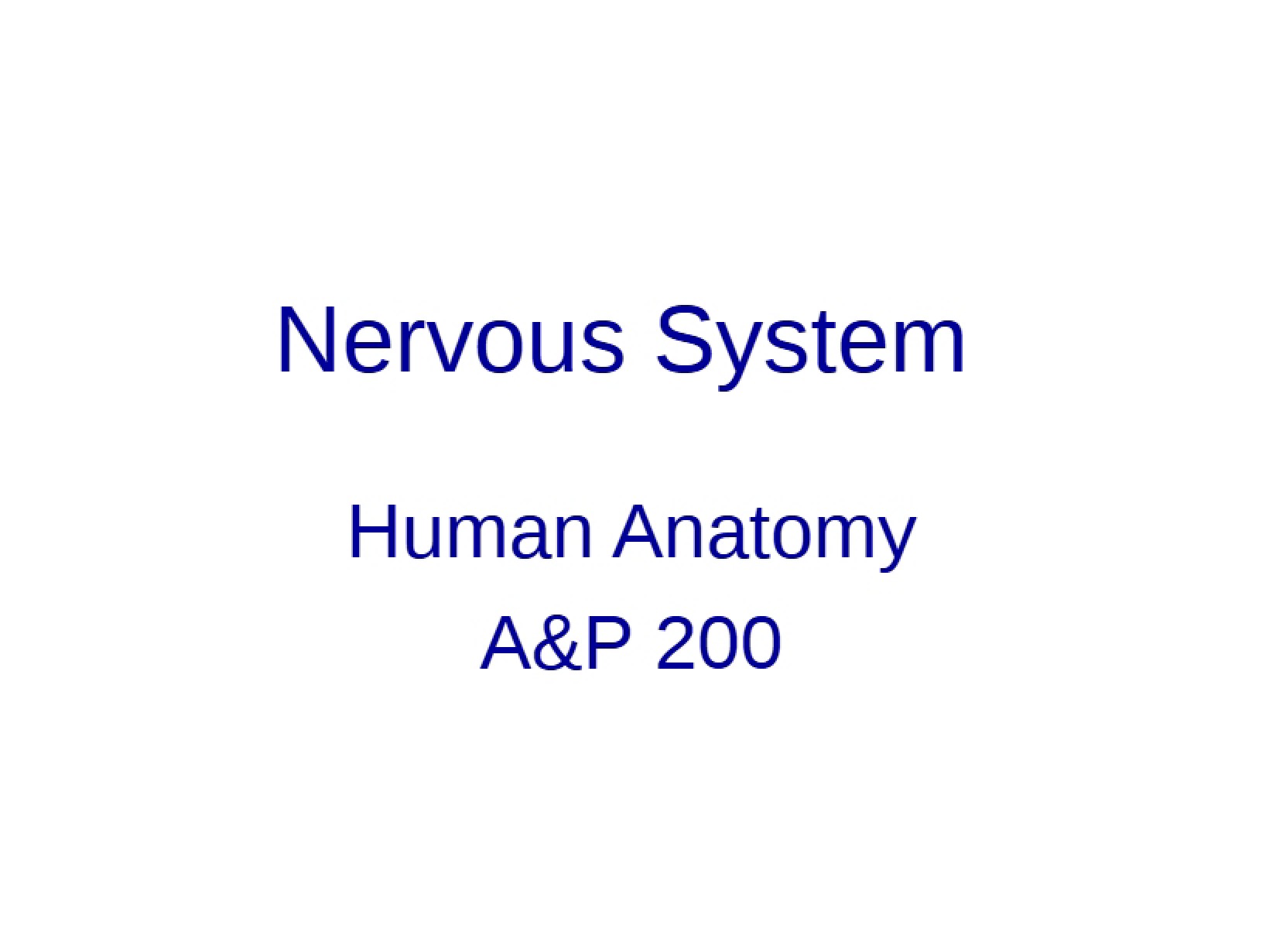 System of Nerves