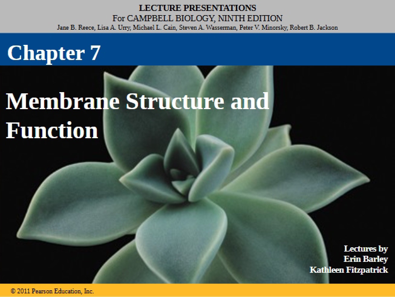 Lecture Presentation 7