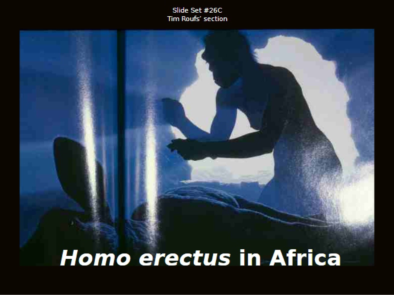 Biological Anthropology Lecture Notes
