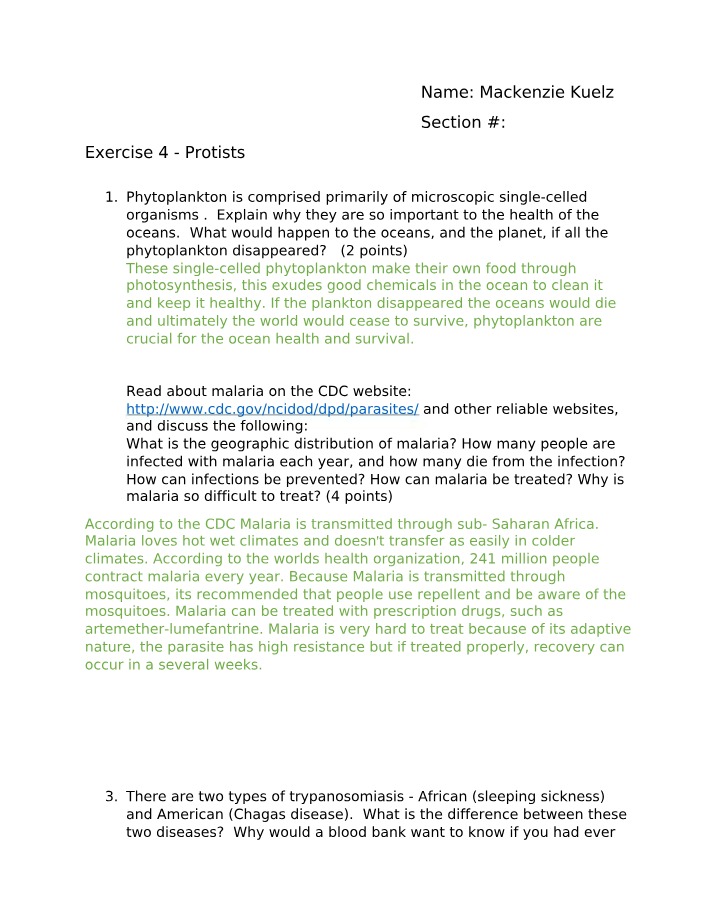 Protists - Exercise 4