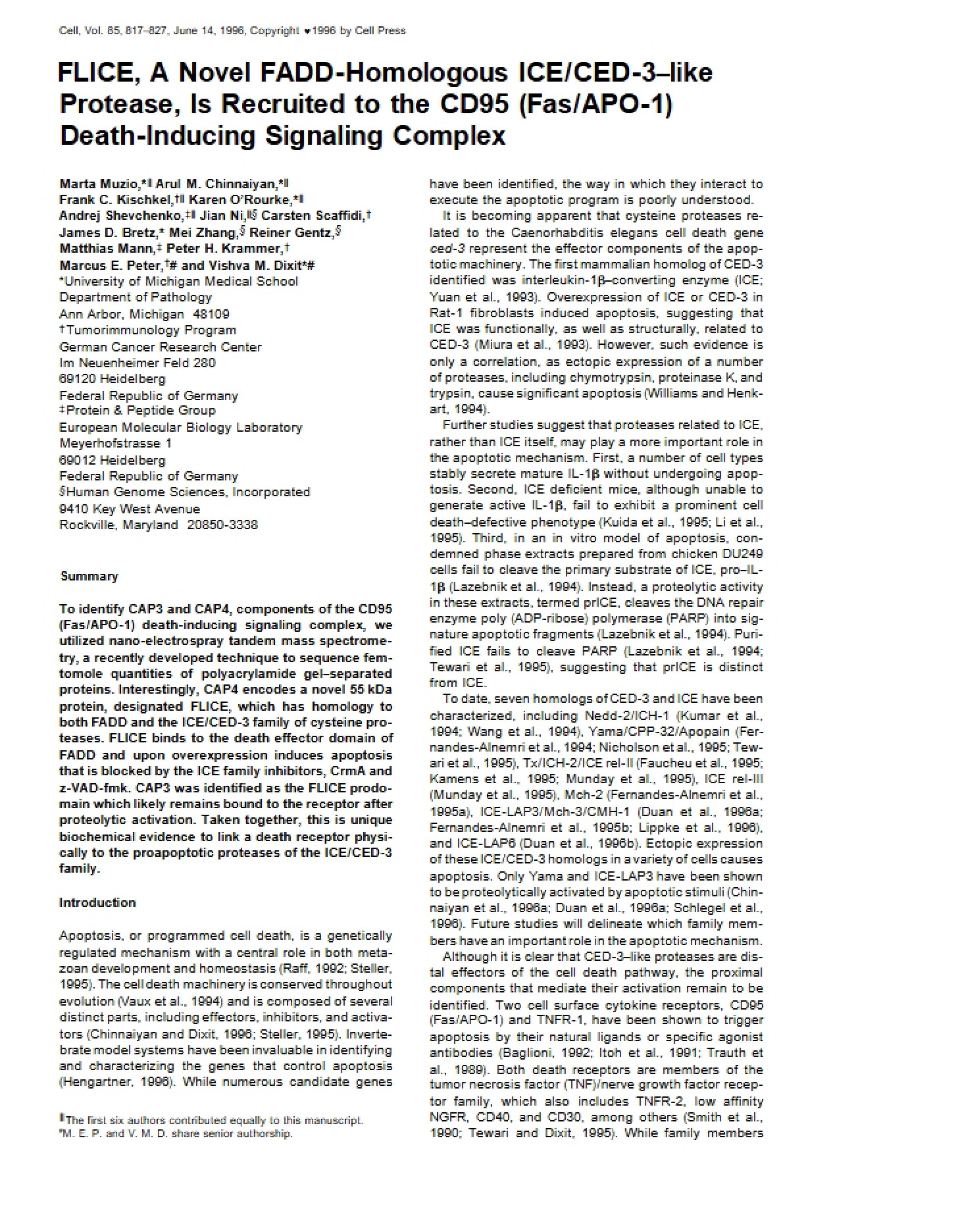 Academic Paper