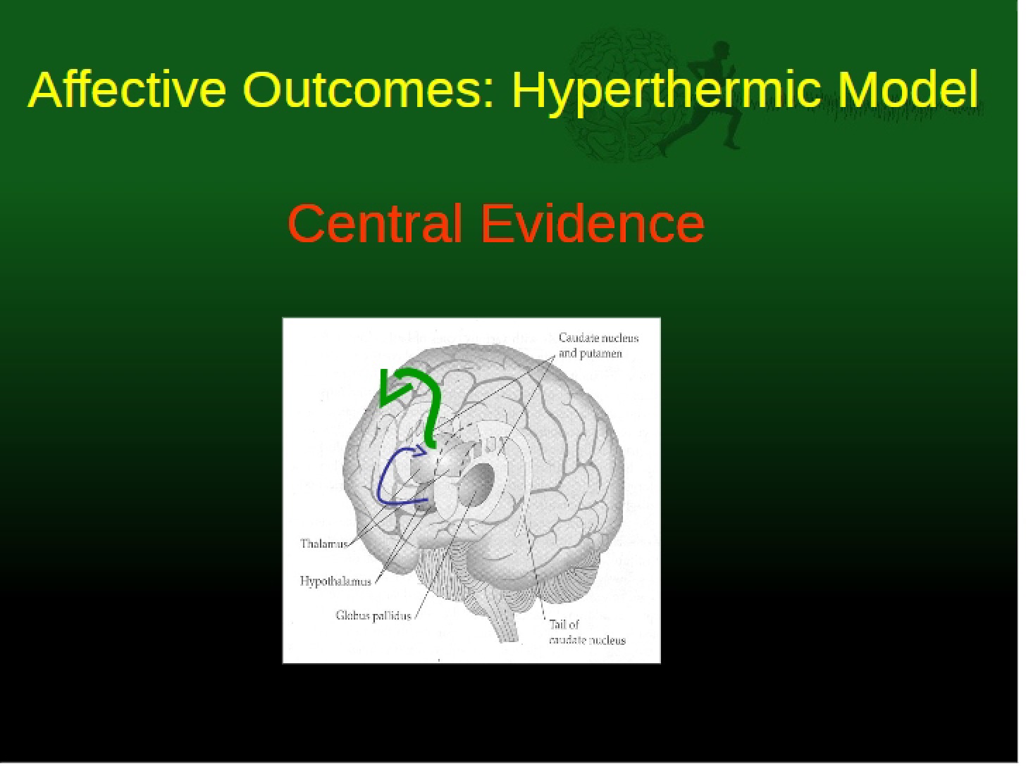 Central Hyperthermic Model Part 1