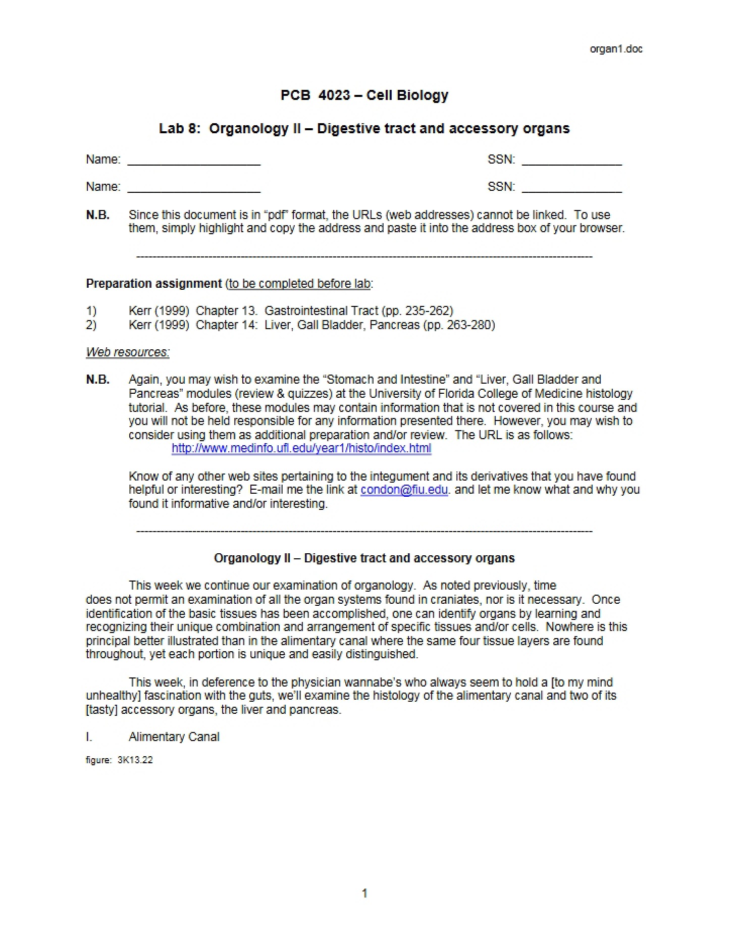 Digestive System and Associated Organs Study