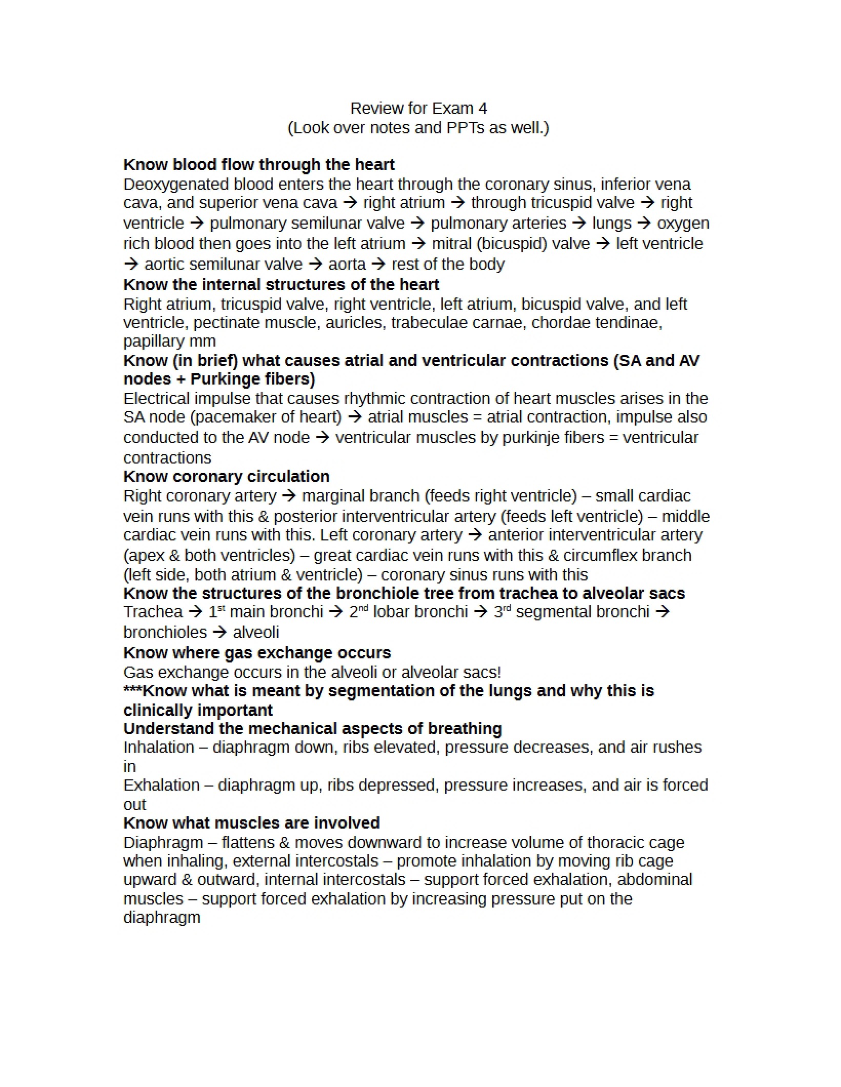 Study Material for Exam Four