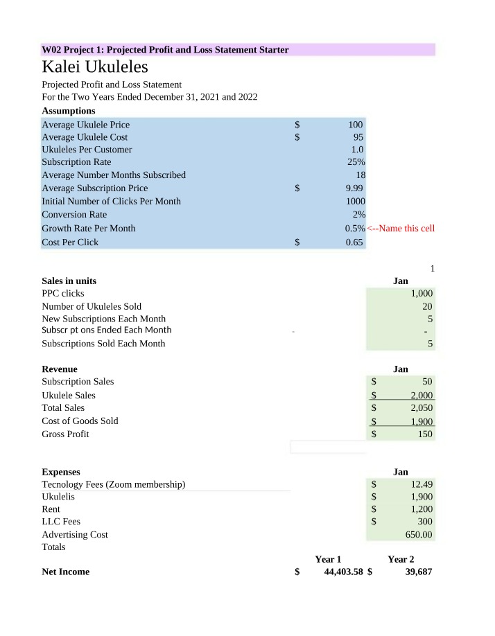 Projected Profit and Loss Statement - Project 1 Starter