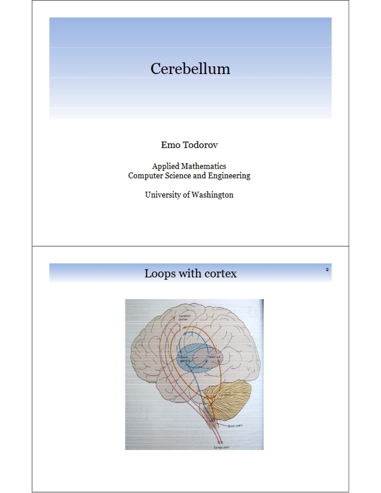 Anatomy of the Cerebellum