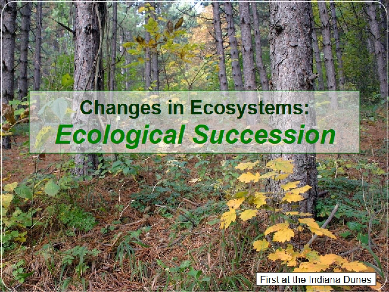 Slides on Ecological Succession