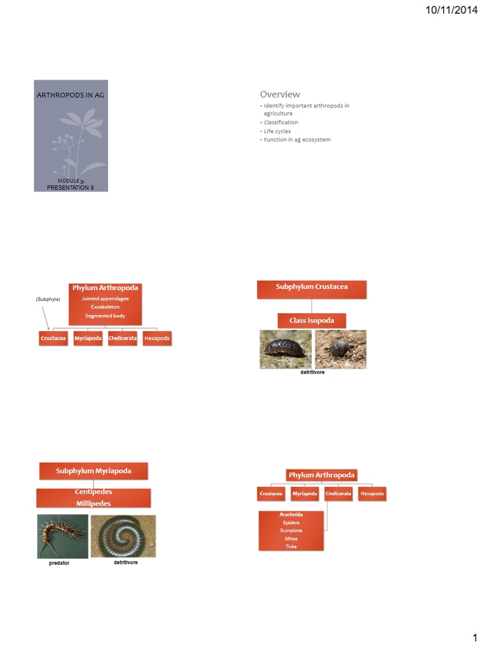 Agriculture and Arthropods