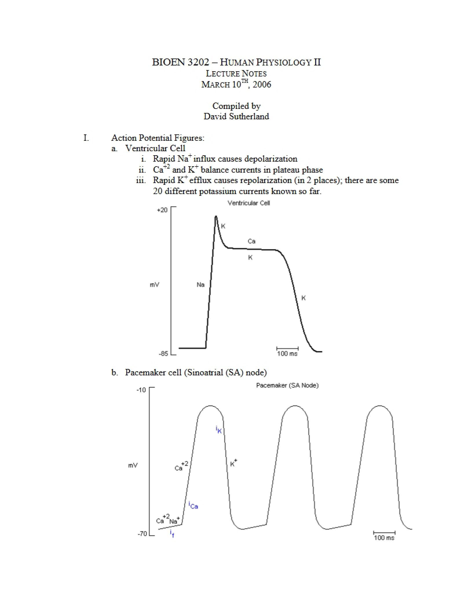 Physiology for Engineers Lecture Notes