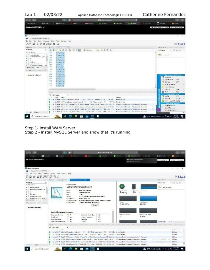 Applied Database Technologies - Lab 1