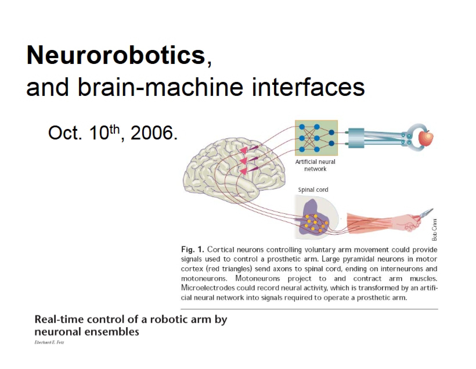 Robotics in Neuroscience