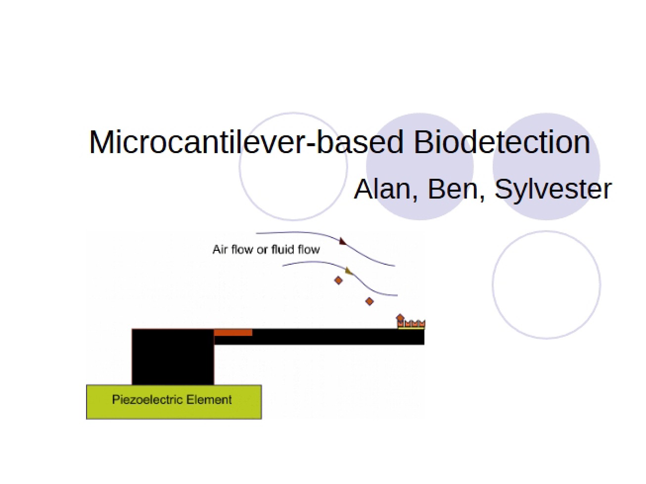 Biodetection via Microcantilevers