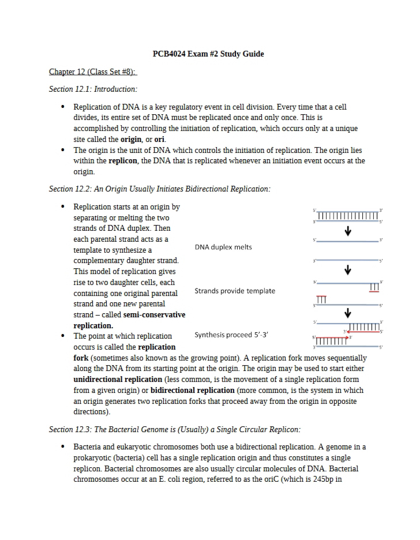 Second Examination - 30 Pages