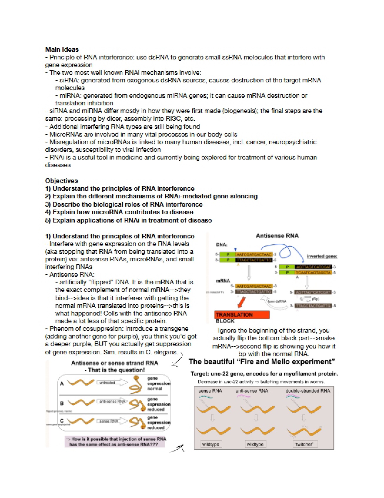 Lecture Review Disease and RNA Interference