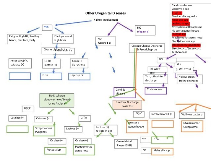 Diseases of the Urogenital System