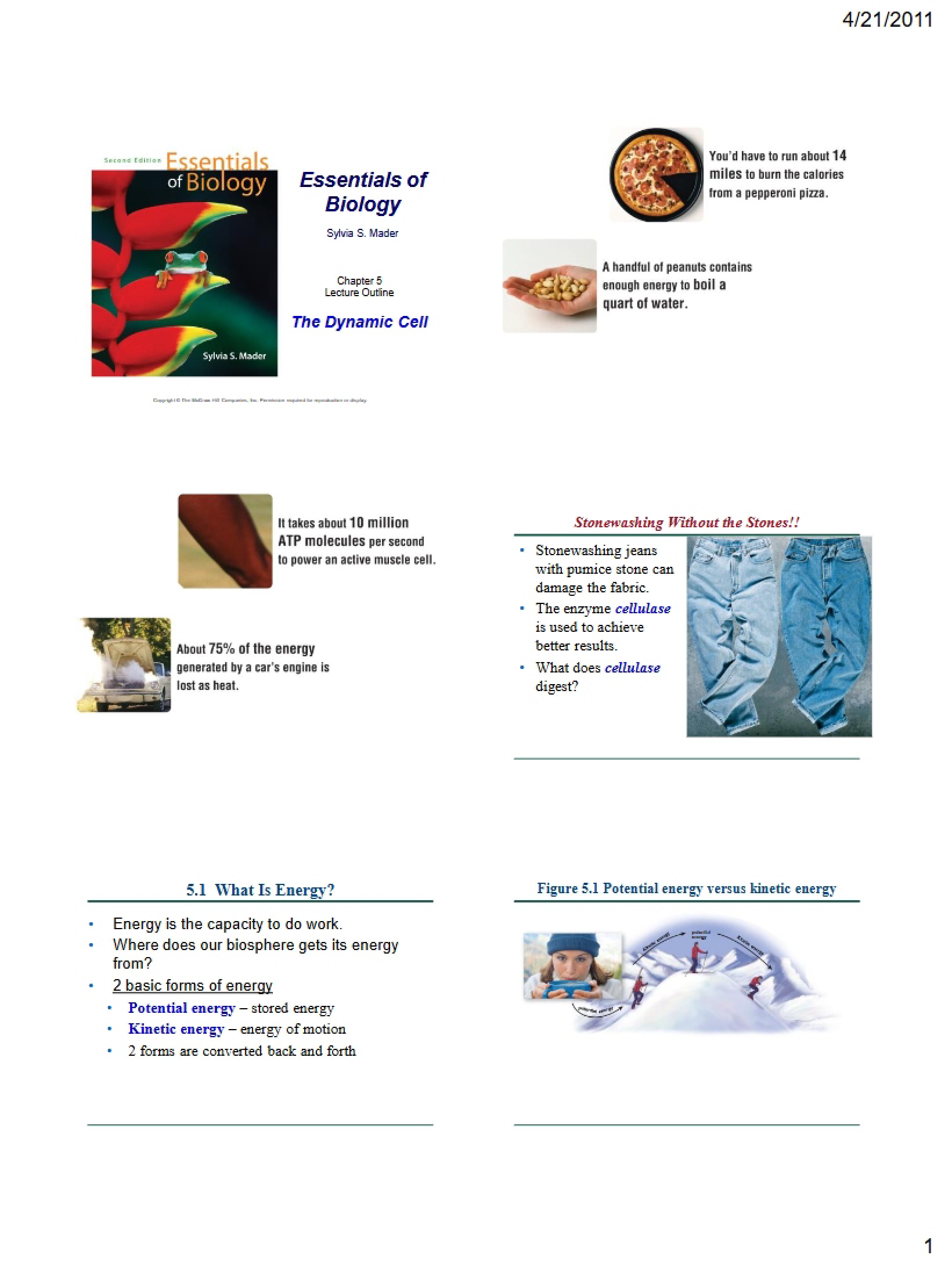 Cell Dynamics
