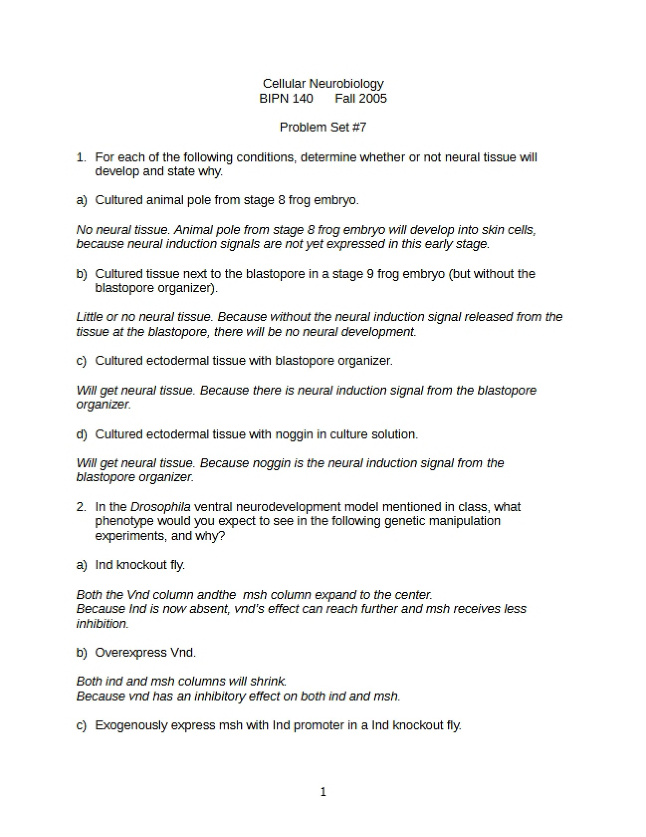 Cellular Neurobiology Assignment 7