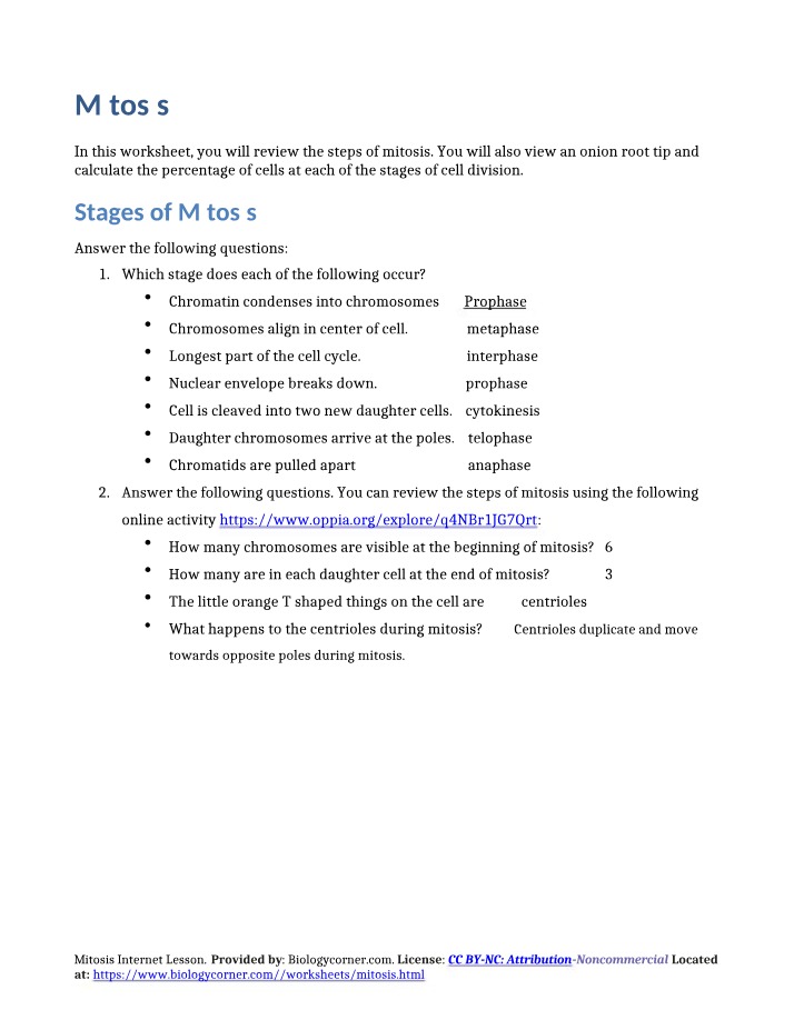 Worksheet on Mitosis Steps and Stages