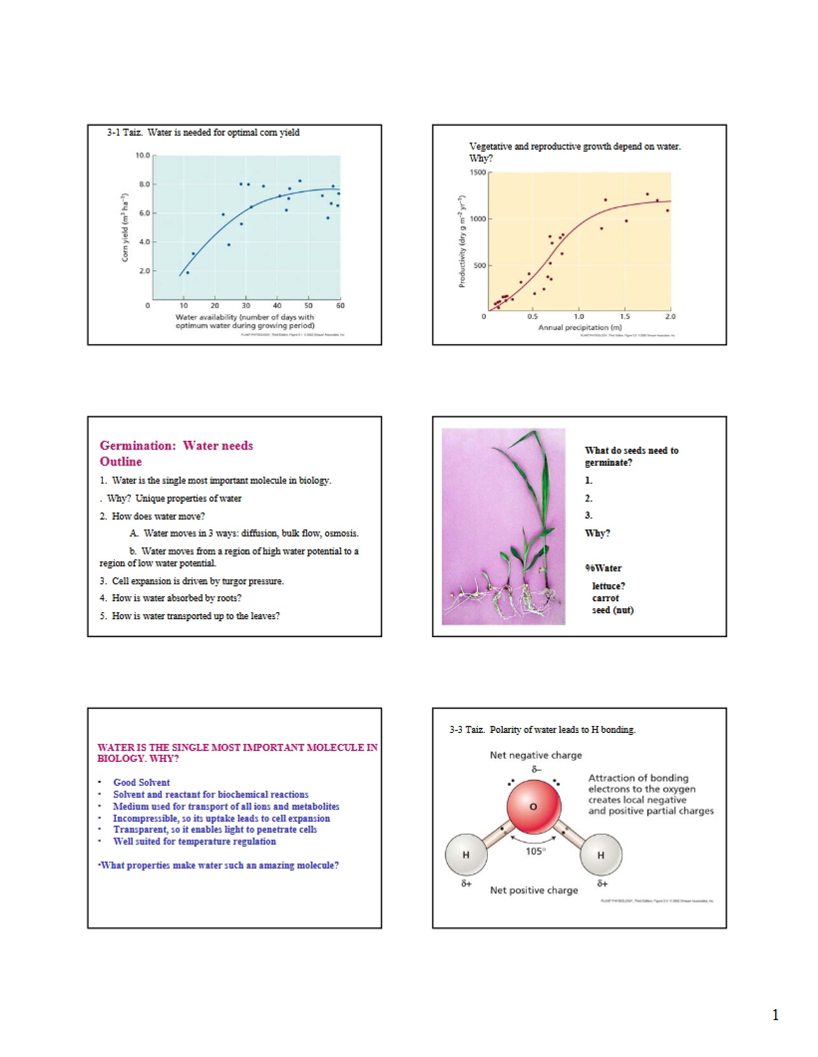 Water Physiology