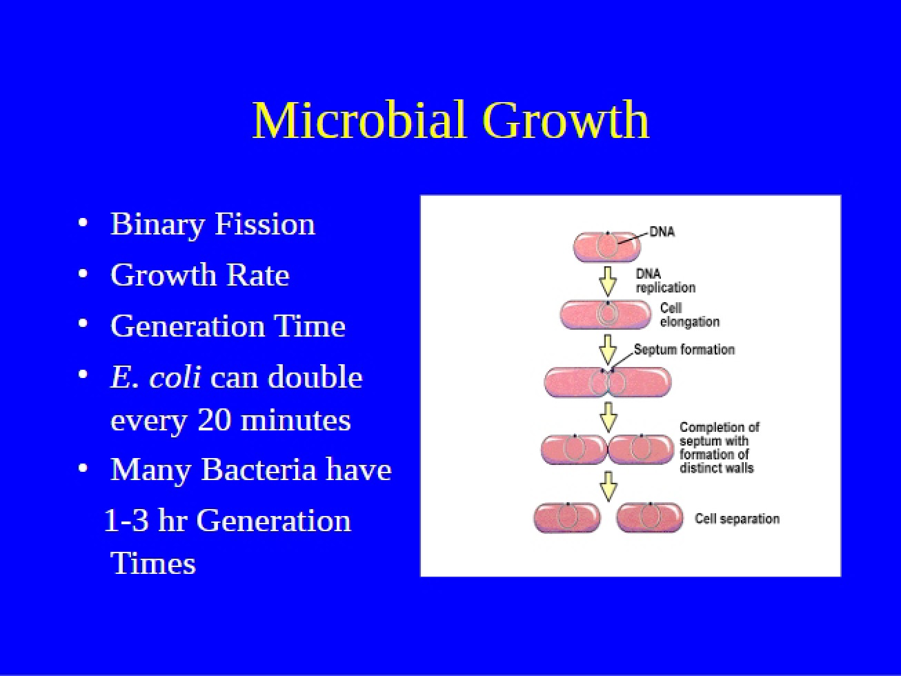 Growth of Microbes