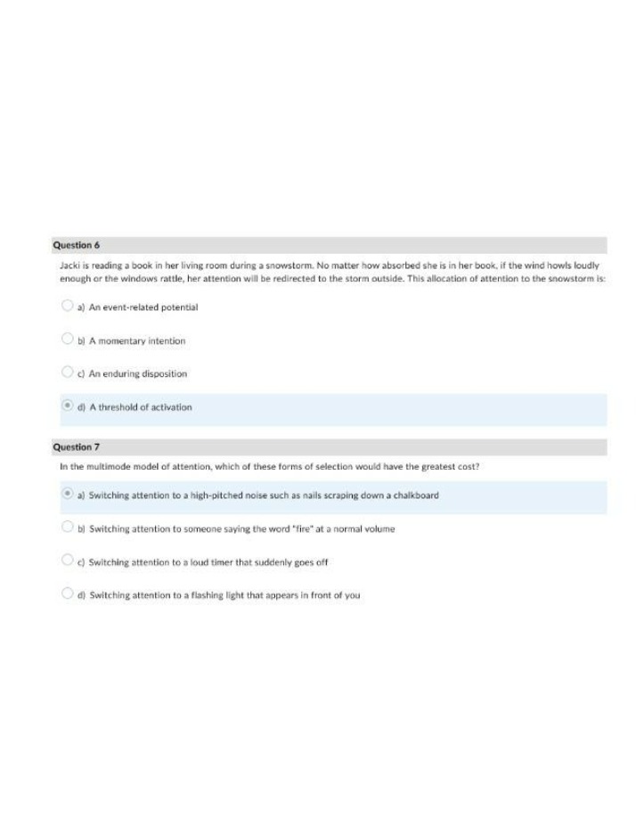 Attention Allocation During a Snowstorm