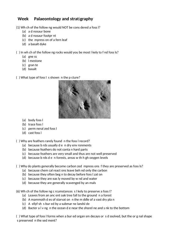 Introduction to Palaeontology and Stratigraphy - Fossils and Rocks