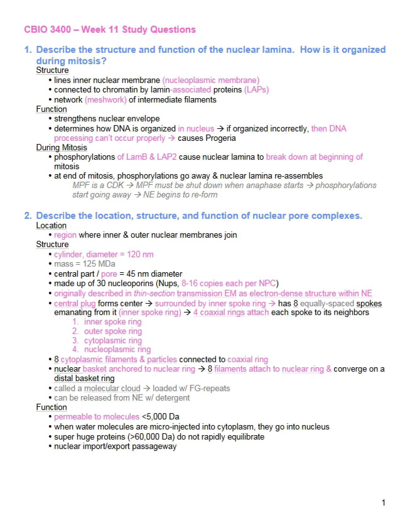 Study Guide (Seventh Instance)