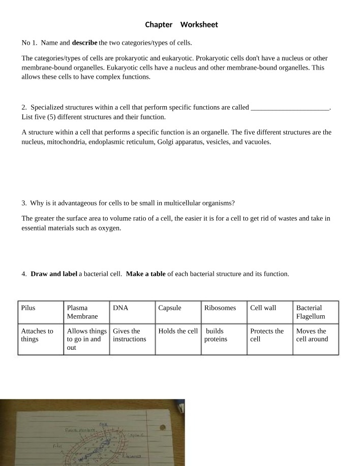 Worksheet for Chapter 3